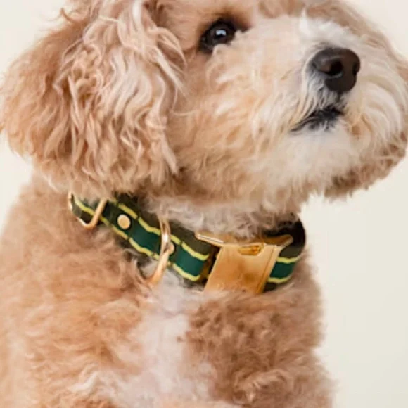 NWT Harry Barker striped dog collar S - Picture 2 of 7